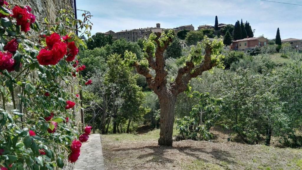 Colombaio In Colle Bed & Breakfast Sant'Angelo in Colle ภายนอก รูปภาพ