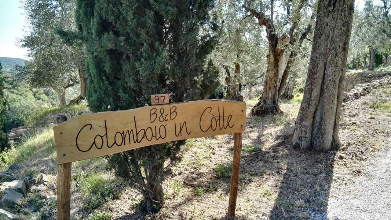 Colombaio In Colle Bed & Breakfast Sant'Angelo in Colle ภายนอก รูปภาพ